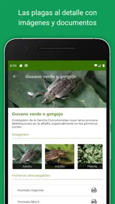 Plagricola android App screenshot 3